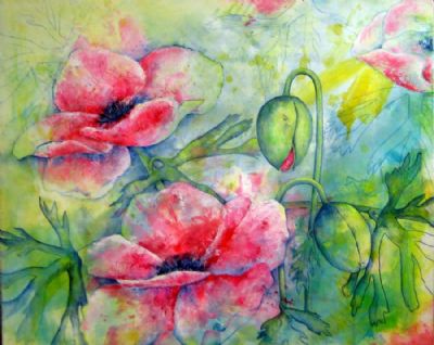 Blomsterportrt Pink valmue - SOLGT